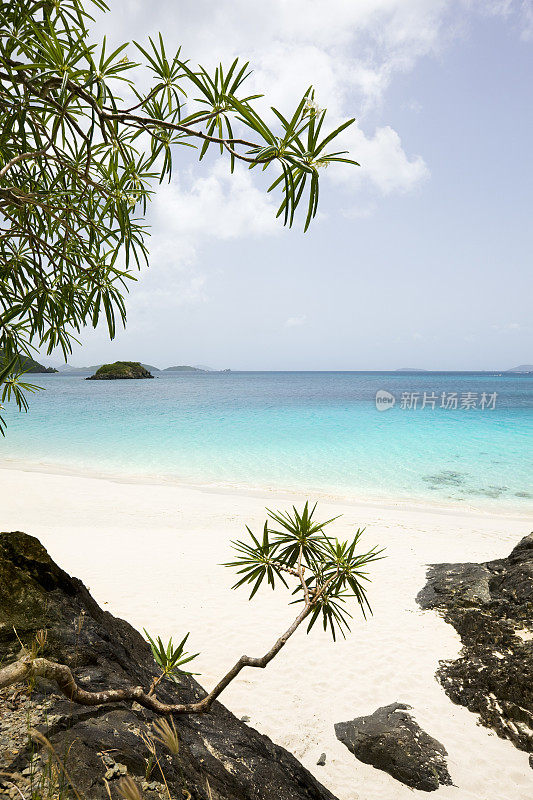 肉桂湾，圣约翰，USVI -加勒比海滩视图